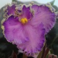 Fredette,s Sweet Jenny